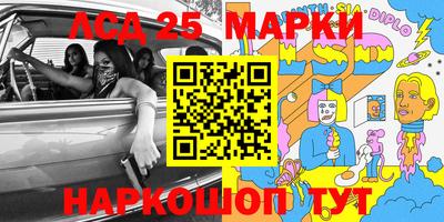 a pvp Гатчина