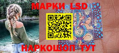 a pvp Гатчина