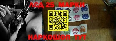 a pvp Гатчина