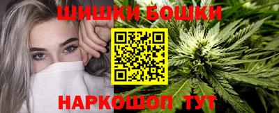 a pvp Гатчина