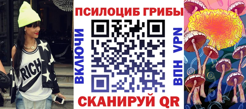 закладка  hydra вход  Галлюциногенные грибы Psilocybe  Балашов 